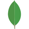 mongodb